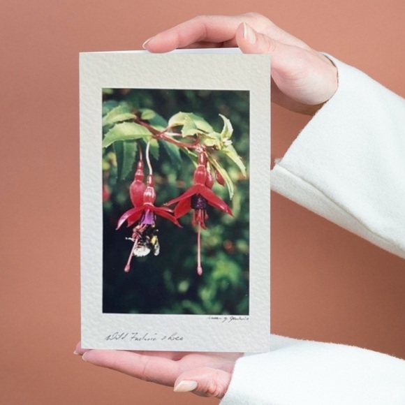 Wild Flower Stationary Card - Picture 1 of 15